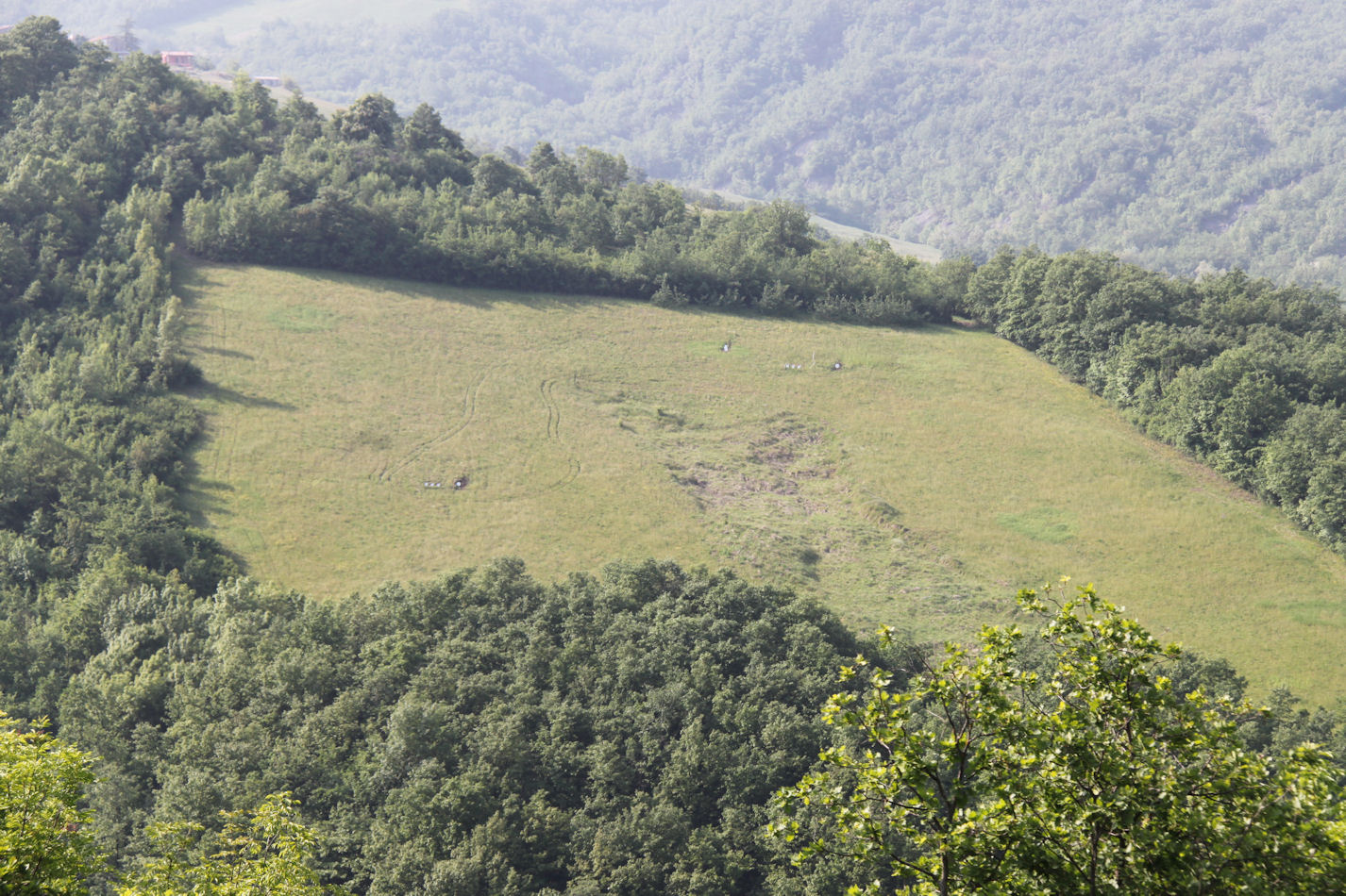 Descrizione: C:\DOCUMENTI\01 PASTORIA\WEB pastoria 2\Copia di lapastoria.it\images\campo3.jpg
